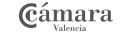 LOGO_CAMARA_VLC